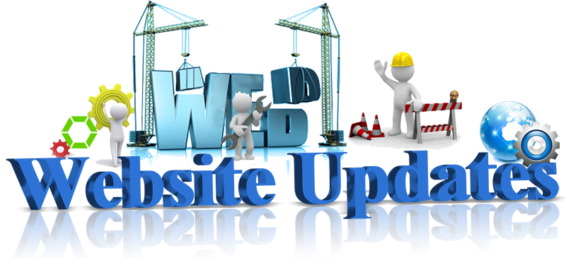 我們應(yīng)該如何經(jīng)營(yíng)網(wǎng)站seo 我們應(yīng)該如何經(jīng)營(yíng)網(wǎng)站seo