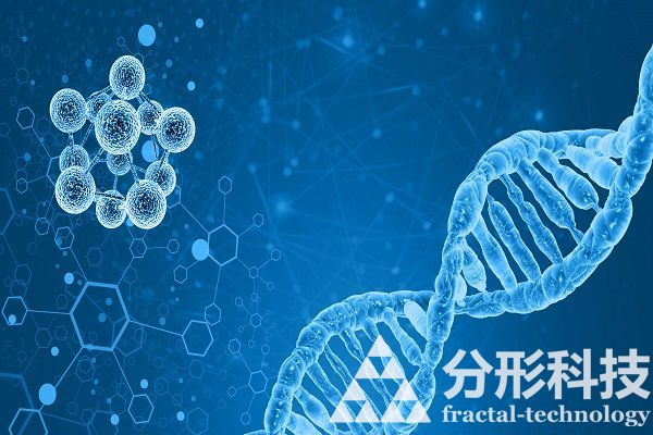 醫(yī)院網(wǎng)站建設(shè)：數(shù)字化健康服務(wù)新模式